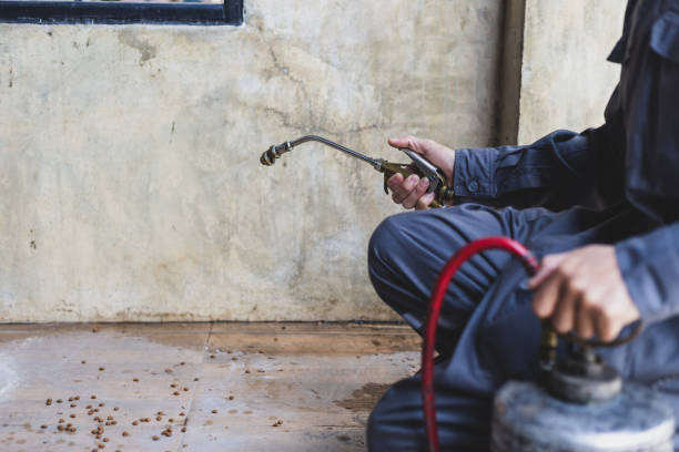 Professional Pest Control in Tanglewilde, WA